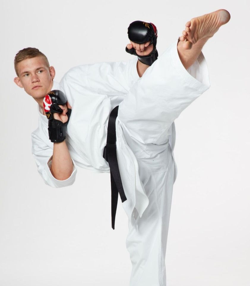 Seishin Fight Gloves