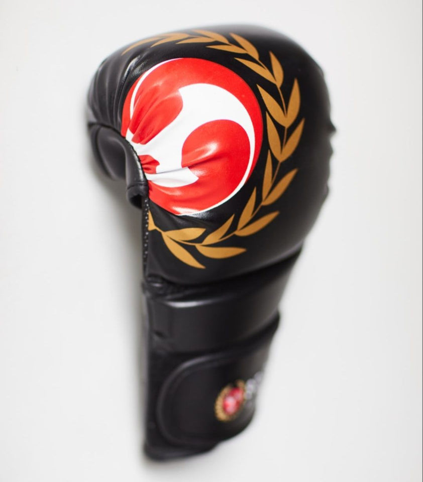 Seishin Fight Gloves