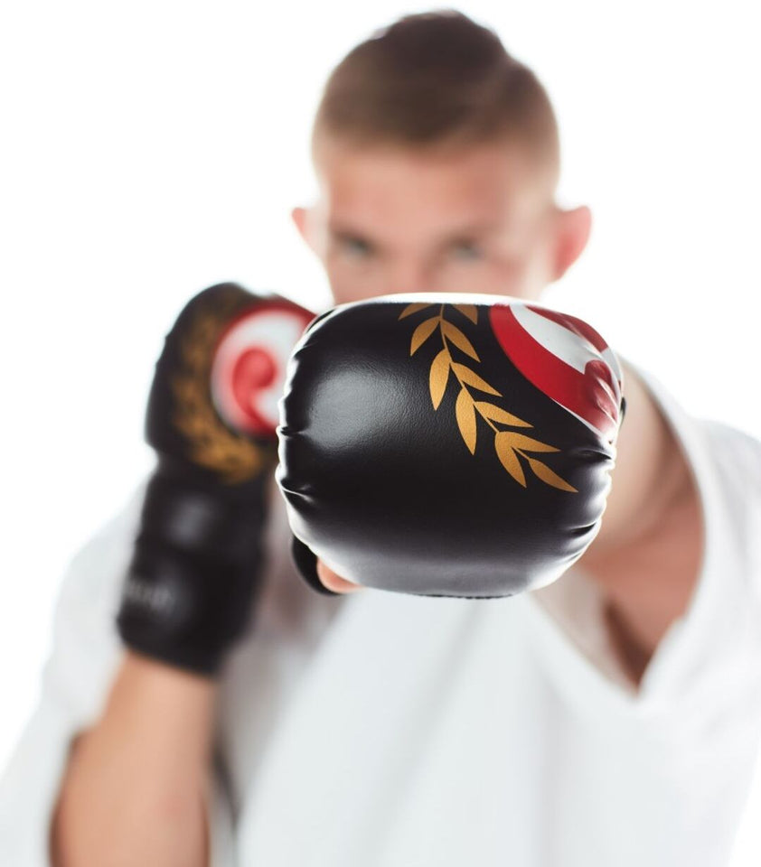 Seishin Fight Gloves
