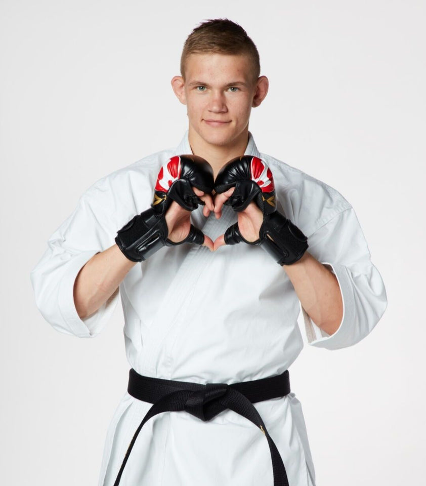 Seishin Fight Gloves